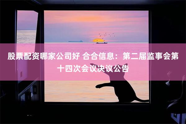 股票配资哪家公司好 合合信息：第二届监事会第十四次会议决议公告