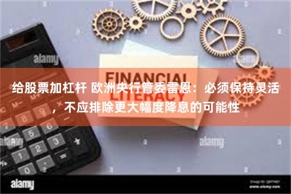 给股票加杠杆 欧洲央行管委雷恩：必须保持灵活，不应排除更大幅度降息的可能性