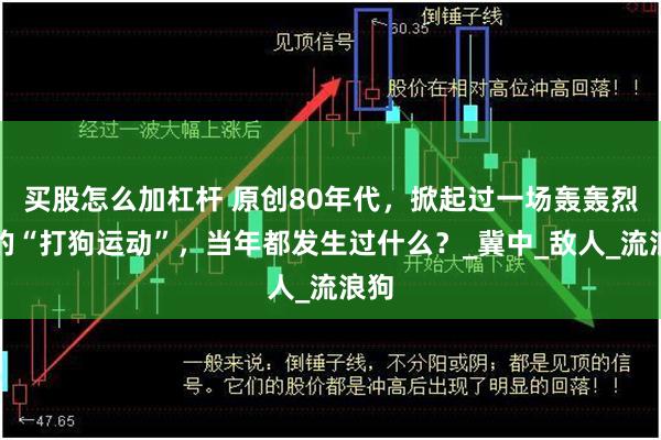 买股怎么加杠杆 原创80年代，掀起过一场轰轰烈烈的“打狗运动”，当年都发生过什么？_冀中_敌人_流浪狗