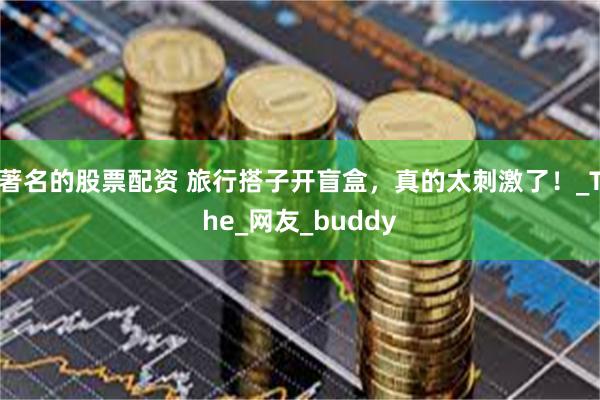 著名的股票配资 旅行搭子开盲盒，真的太刺激了！_The_网友_buddy