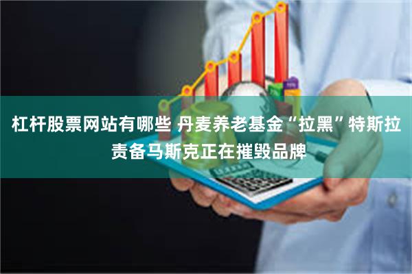 杠杆股票网站有哪些 丹麦养老基金“拉黑”特斯拉 责备马斯克正在摧毁品牌