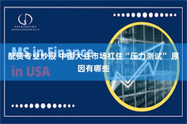 配资专业炒股 中国大豆市场扛住“压力测试” 原因有哪些