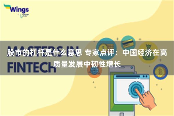 股市的杠杆是什么意思 专家点评：中国经济在高质量发展中韧性增长