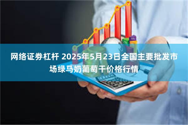 网络证劵杠杆 2025年5月23日全国主要批发市场绿马奶葡萄干价格行情