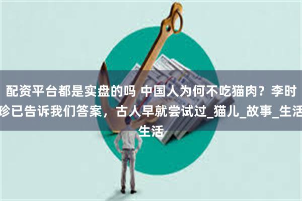 配资平台都是实盘的吗 中国人为何不吃猫肉？李时珍已告诉我们答案，古人早就尝试过_猫儿_故事_生活